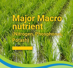  Major Macro Nutrients
